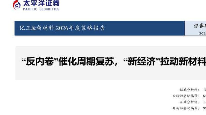肉类增稠剂配方标准：解析食品添加剂的合规与安全