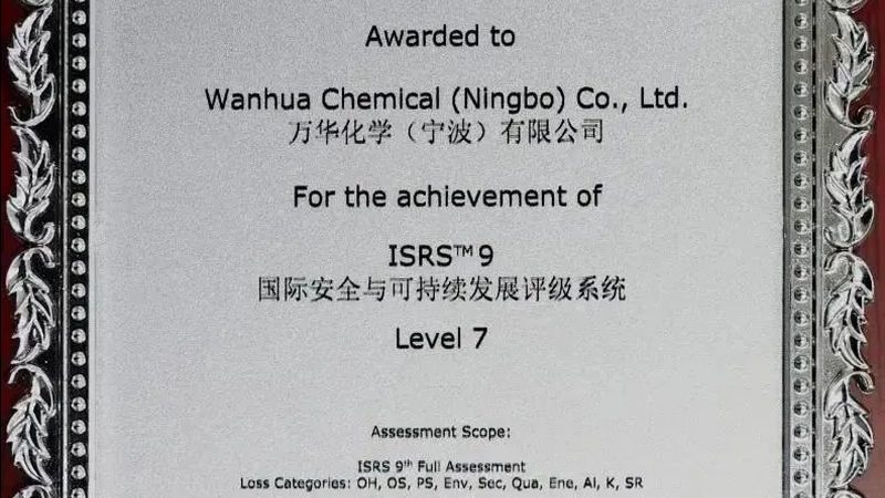 揭秘表面活性剂：十大品牌背后的秘密与选择之道