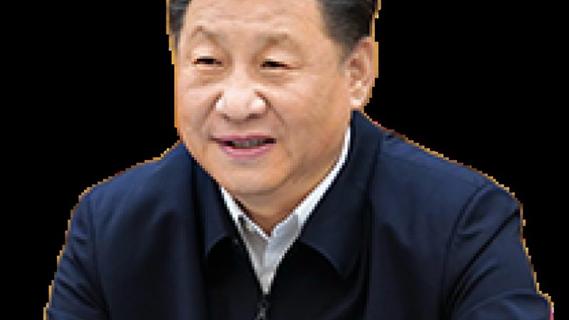 广东高分子材料与金属材料：性能与应用差异解析